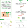 アレリーフローション 15mL×１個 - 画像 (4)