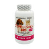プロモーション420（小型犬・猫用）６０粒