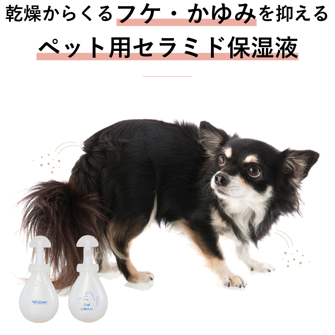 アラダーム ダームワン ペプチド 2mL×6ピペット - 画像 (2)