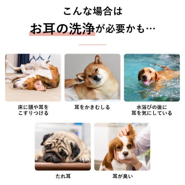 ベッツケア イヤークリーナー 125mL - 画像 (2)