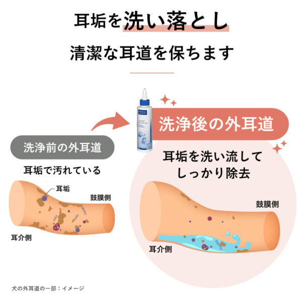 ベッツケア イヤークリーナー 125mL - 画像 (3)