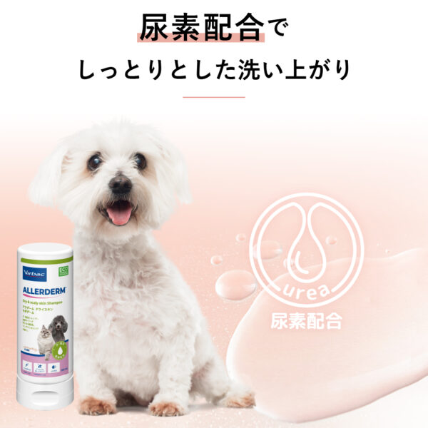 アラダーム ドライスキン セボダーム 250mL - 画像 (2)