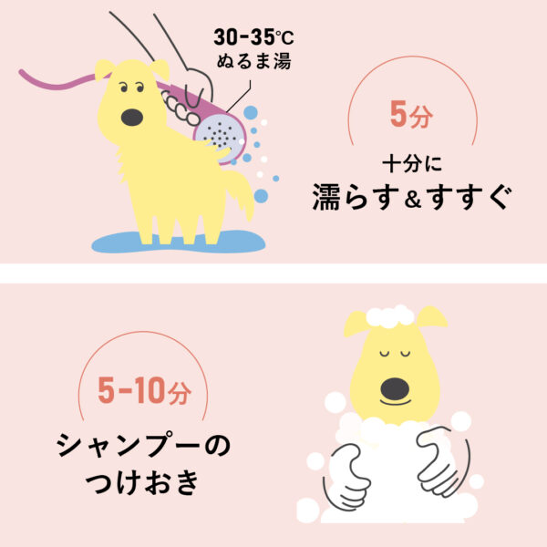 アラダーム センシティブスキン エピスース 2.5L - 画像 (3)