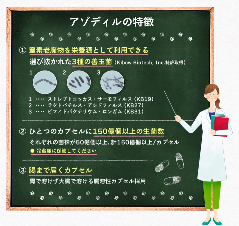 アゾディル 犬猫用 90カプセル×1個 - 画像 (2)