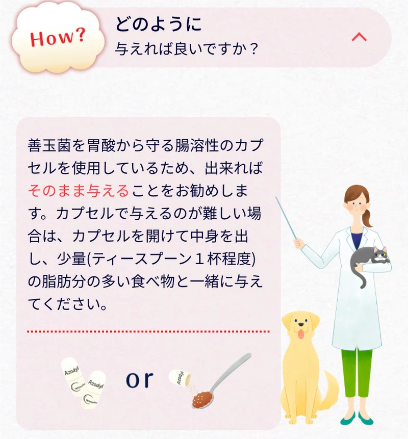 アゾディル 犬猫用 90カプセル×1個 - 画像 (4)