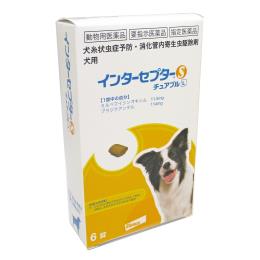 インターセプターＳチュアブル Ｌ 犬用×６錠入