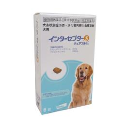 インターセプターＳチュアブル ＬＬ 犬用×６錠入