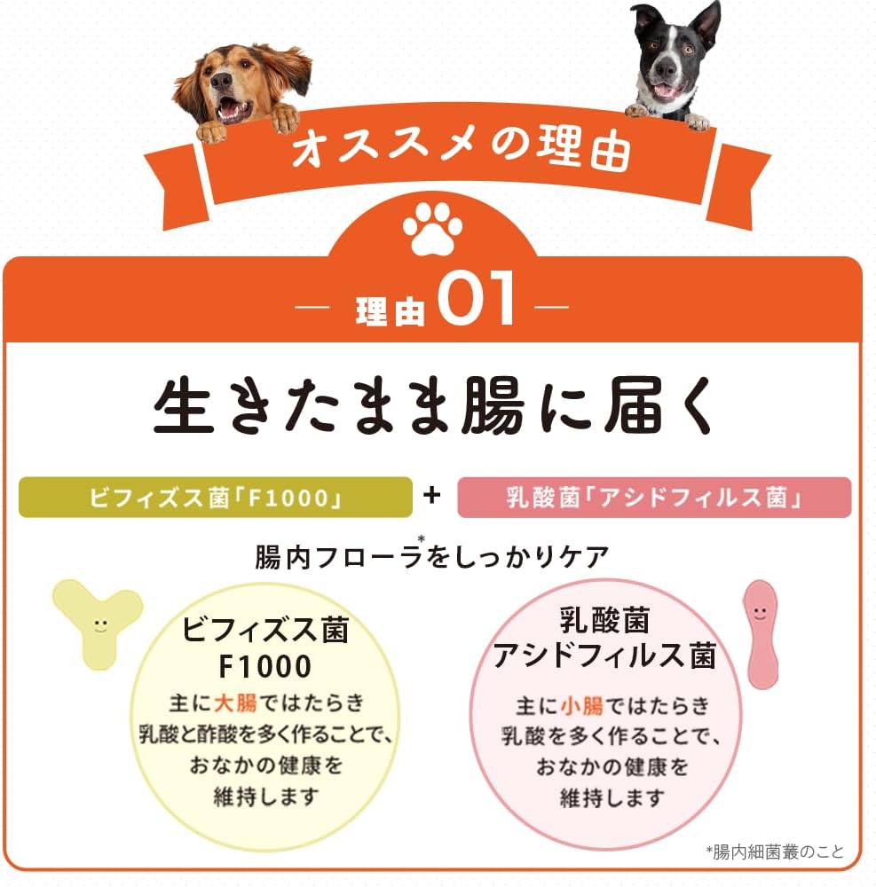 わんビオフェルミンS(犬用)40g×1袋 - 画像 (2)