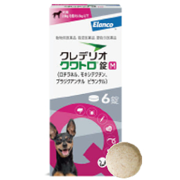 クレデリオクワトロ錠Ｍ ６錠入