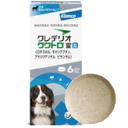 クレデリオクワトロ錠ＸＬ ６錠入