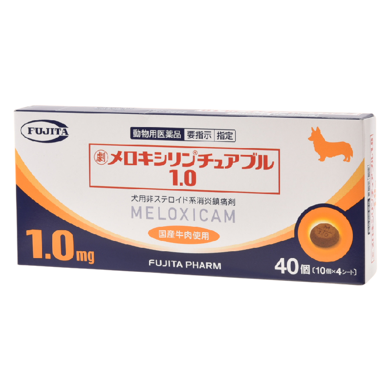 メロキシリン チュアブル1.0×40錠入