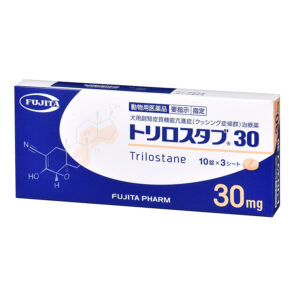 トリロスタブ３０×30錠入